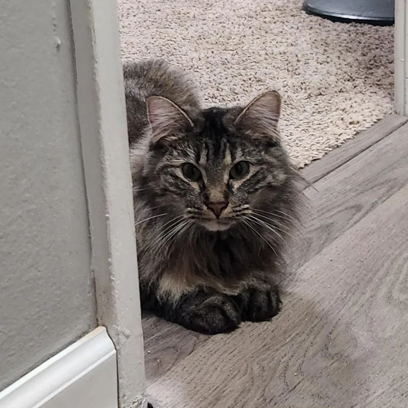 Mercy May thumbnail 2