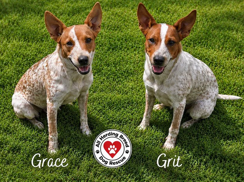Grace thumbnail 3