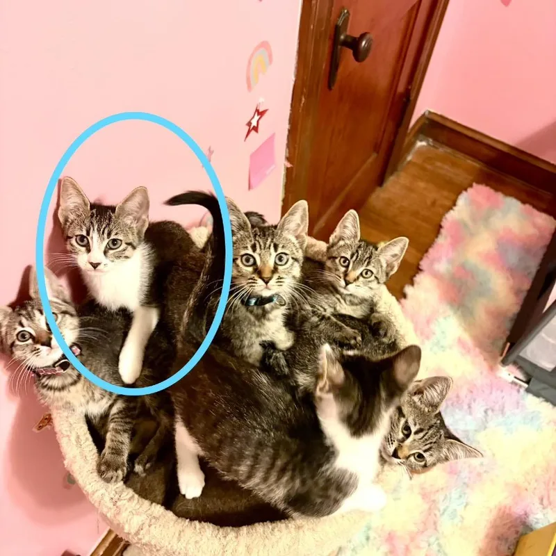Twyla thumbnail 5