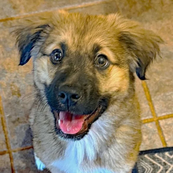 O'malley thumbnail 2