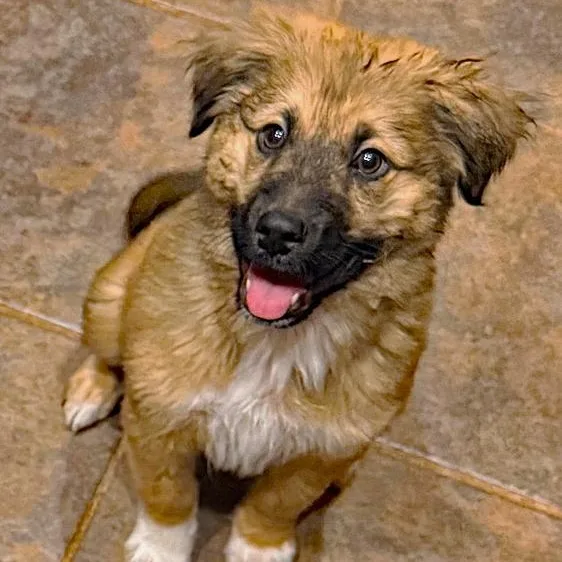 O'malley thumbnail 3