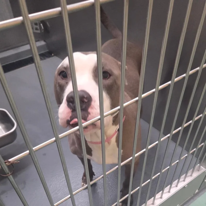 Storm thumbnail 4
