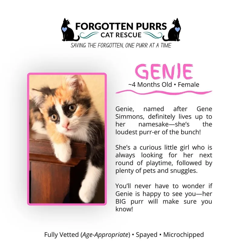 Genie