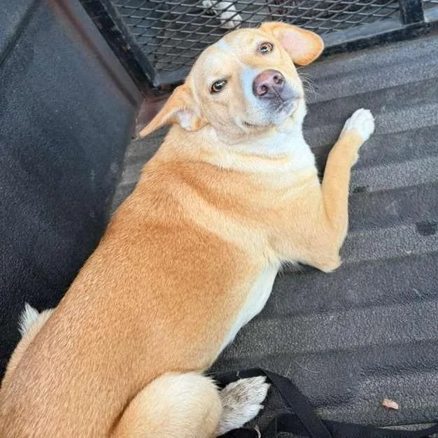 Brooklyn thumbnail 2