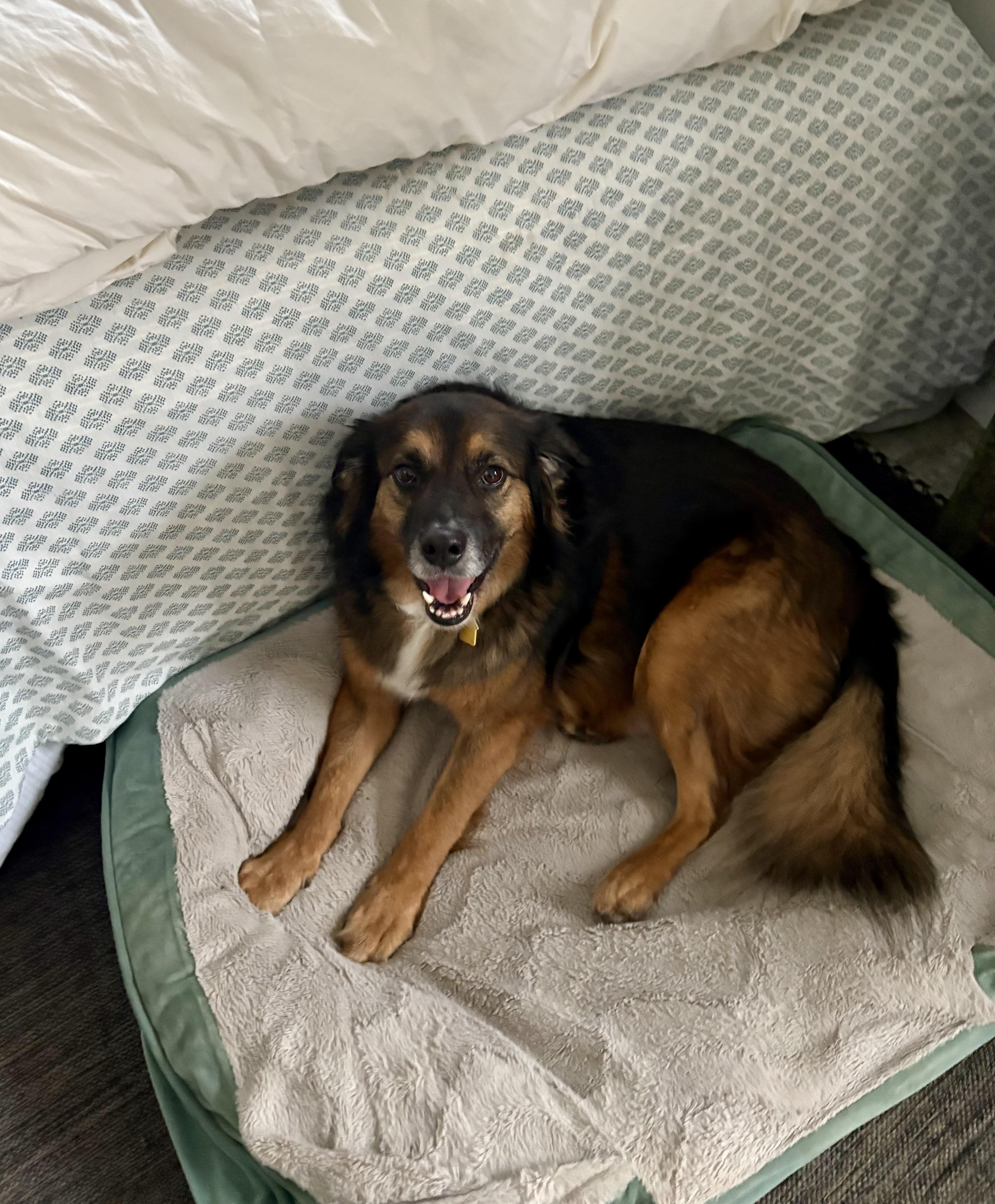 Fred  Courtesy Listing thumbnail 2