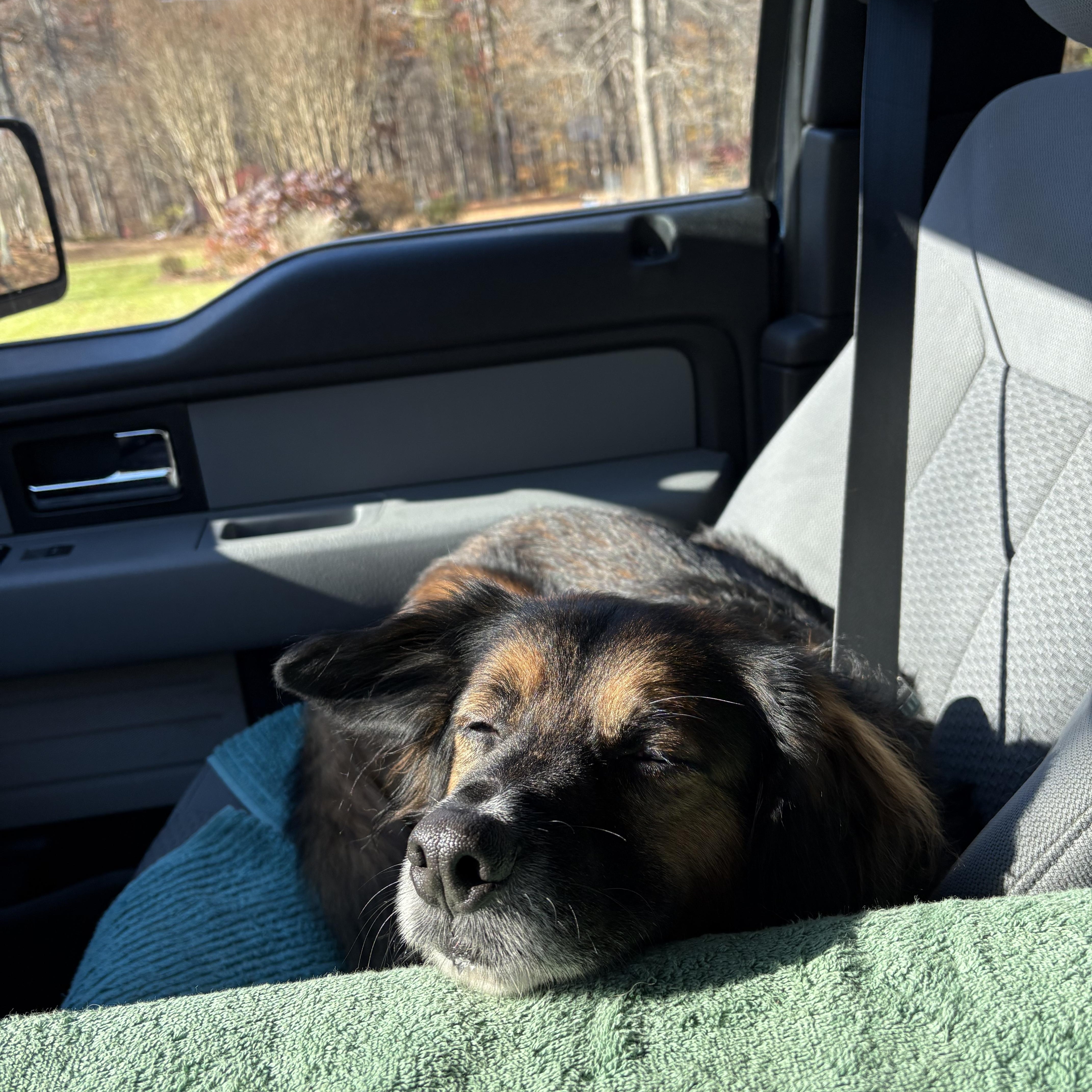 Fred  Courtesy Listing thumbnail 3