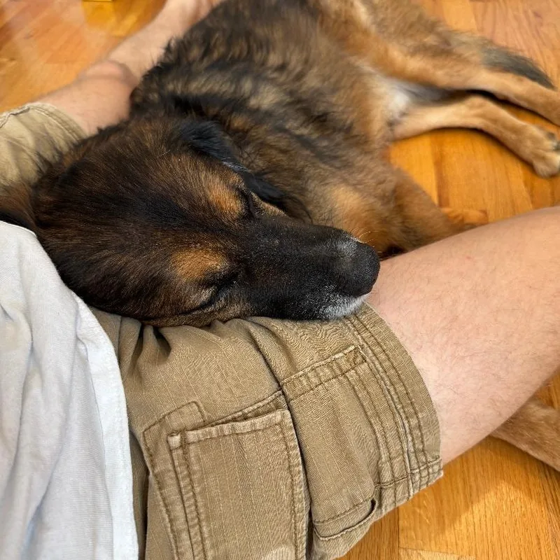 Fred  Courtesy Listing thumbnail 4