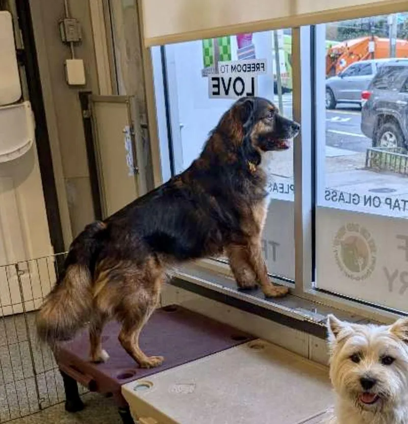 Fred  Courtesy Listing thumbnail 5