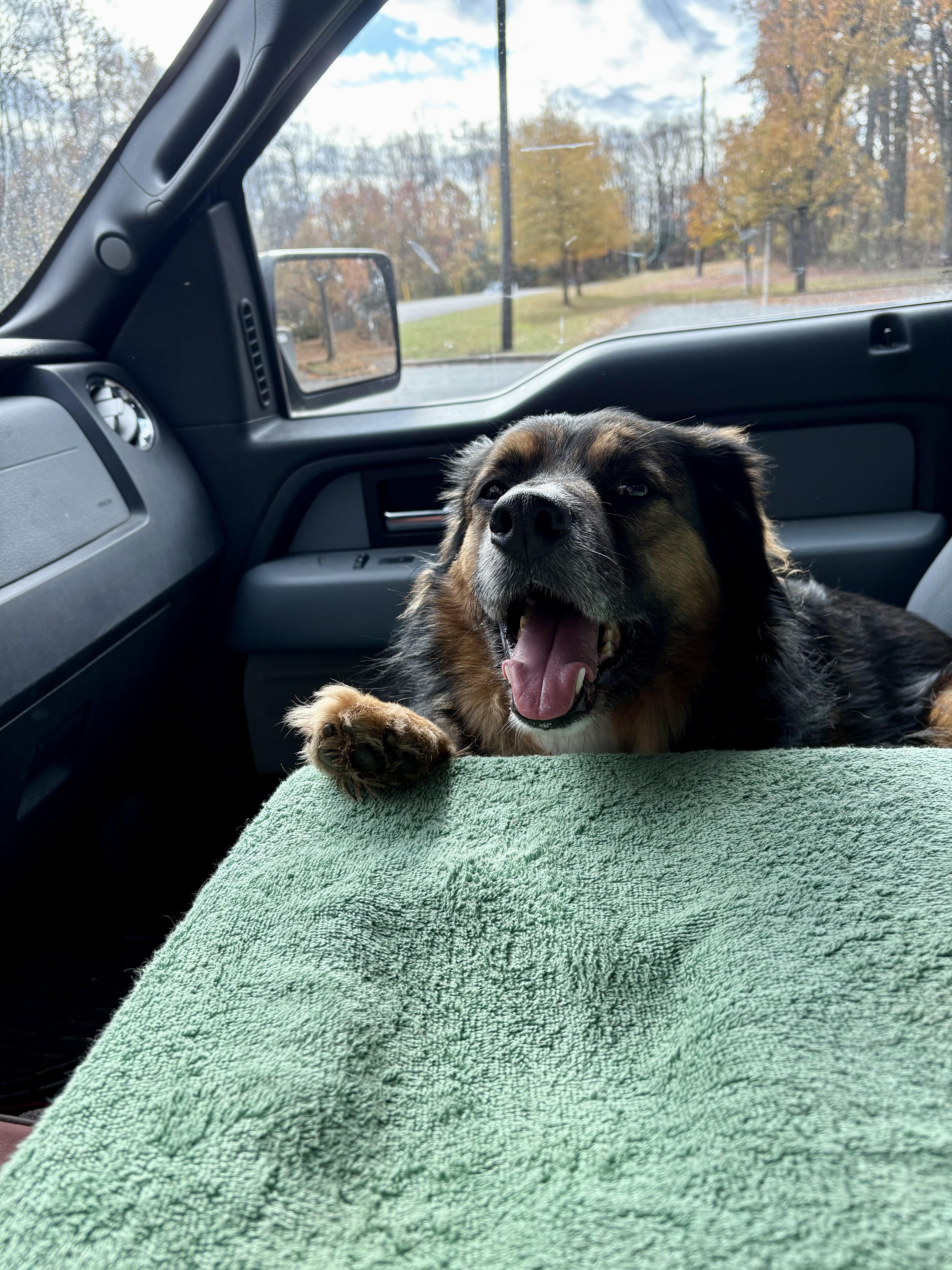 Fred  Courtesy Listing thumbnail 6