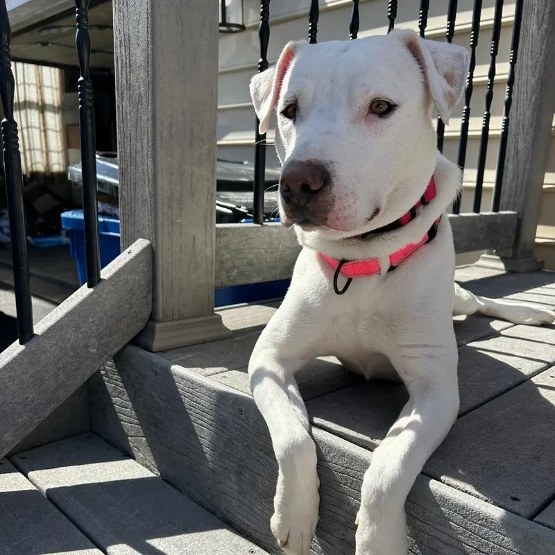 Fannie Mae thumbnail 2