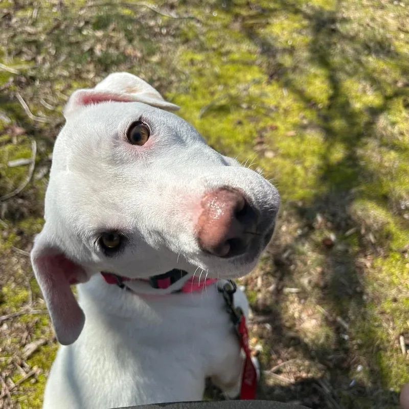 Fannie Mae thumbnail 3