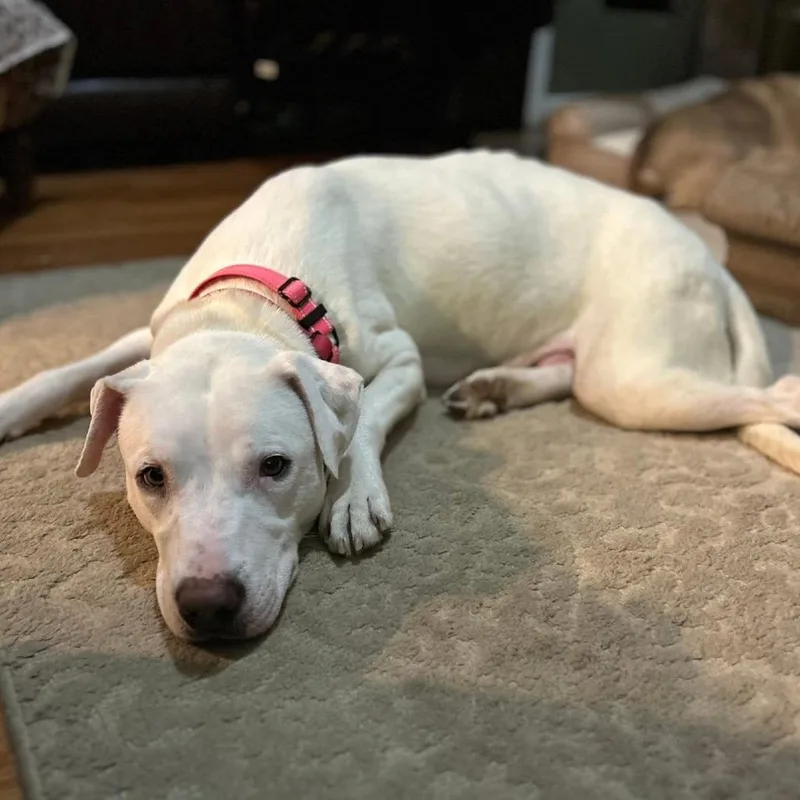 Fannie Mae thumbnail 4