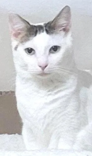 Skittles thumbnail 2