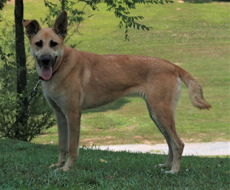 Skye