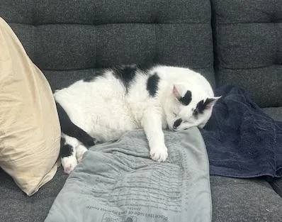 Samantha thumbnail 2