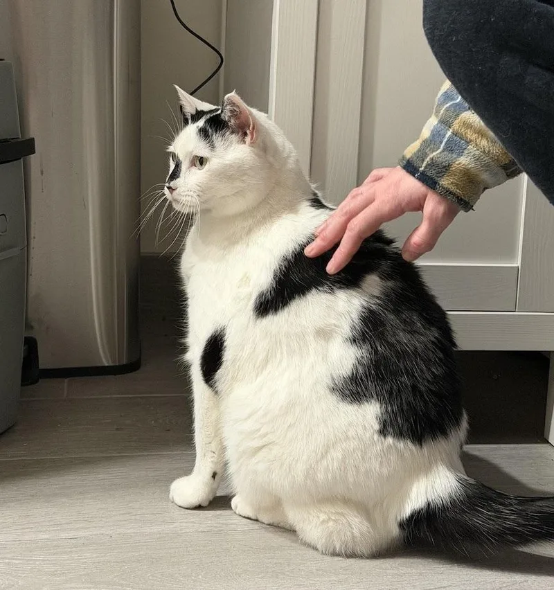 Samantha thumbnail 3