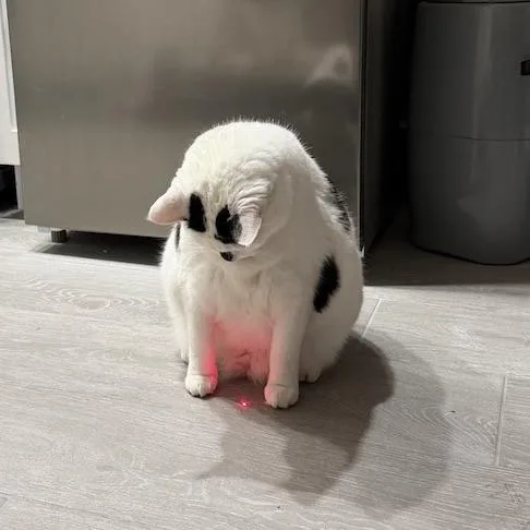 Samantha thumbnail 4