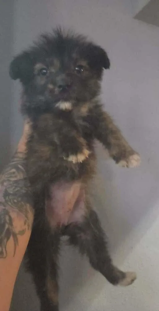 Kardashian thumbnail 2