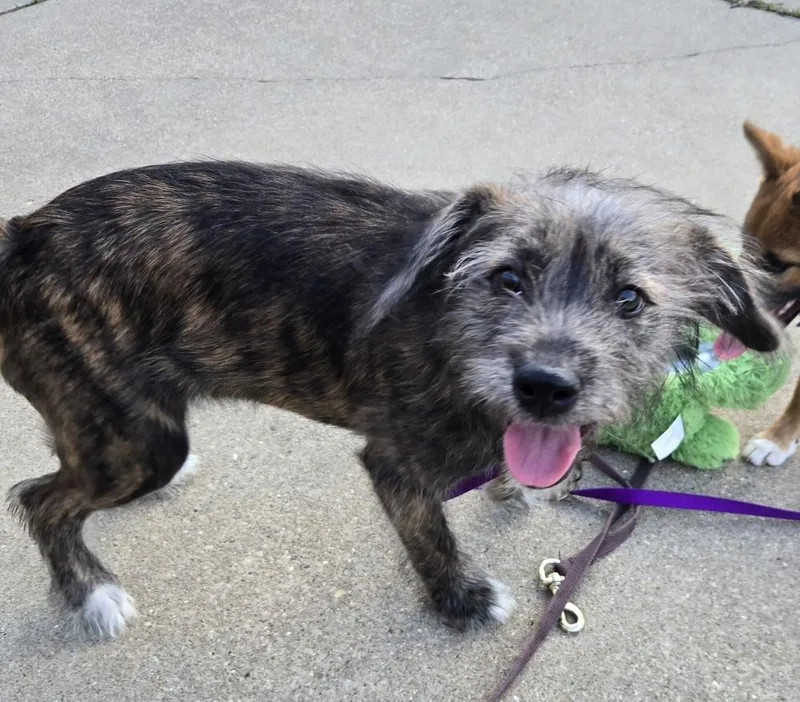 Kardashian thumbnail 3