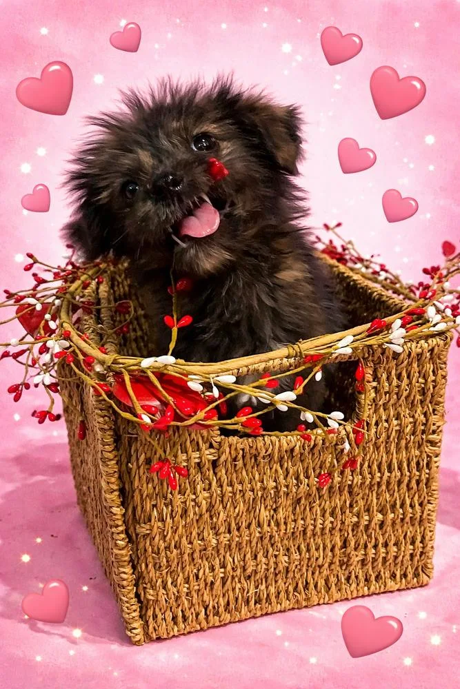 Kardashian thumbnail 4