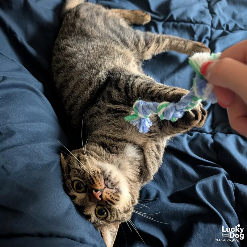 Georgina thumbnail 2