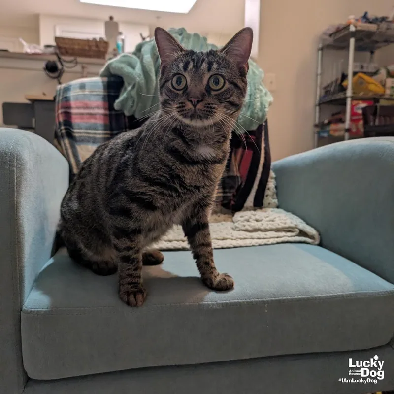 Georgina thumbnail 3