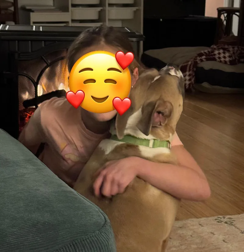 Ayla Blind thumbnail 2
