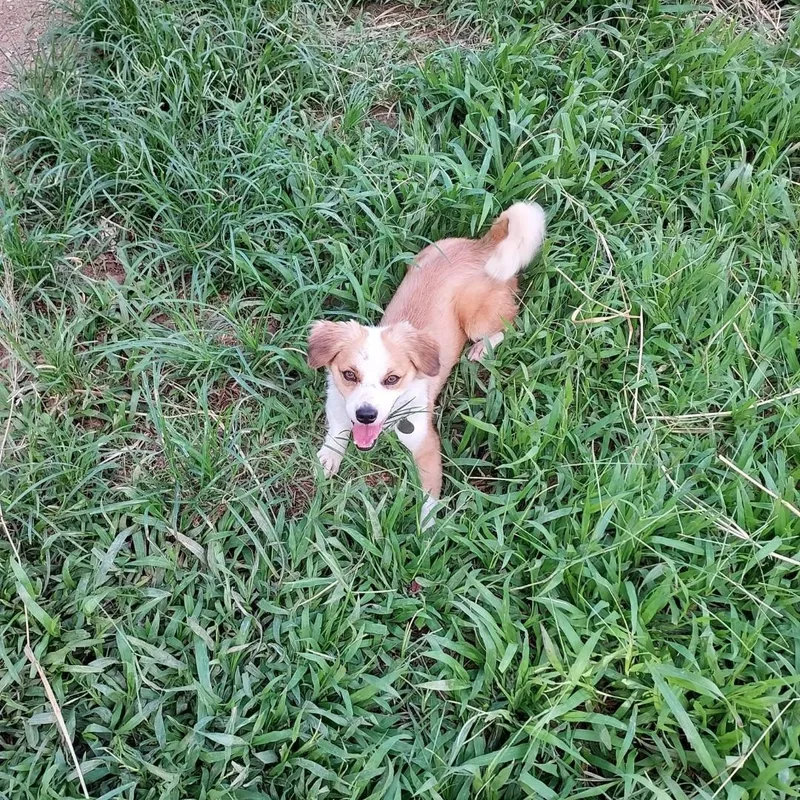 Sidney thumbnail 2