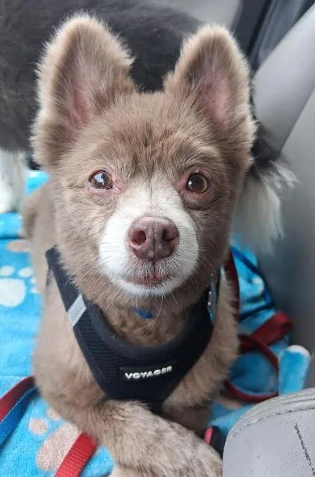 Pete And Miami thumbnail 2