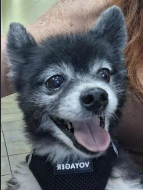 Pete And Miami thumbnail 6