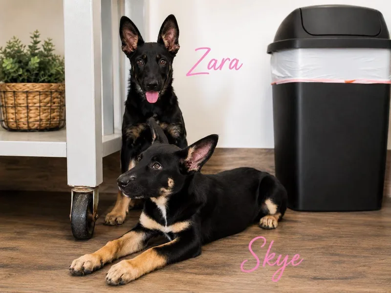 Zara thumbnail 2