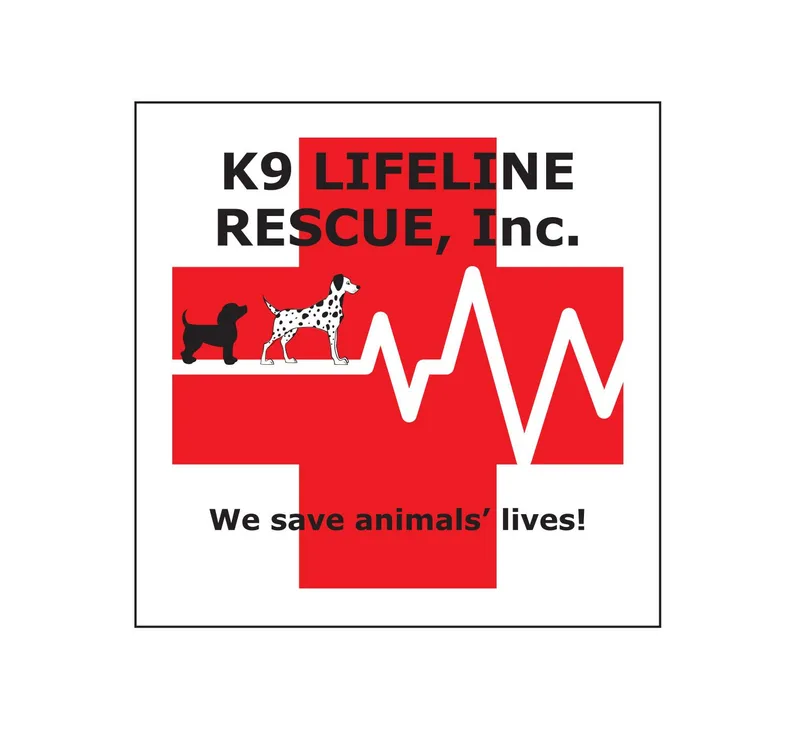 Dobie A+ thumbnail 4