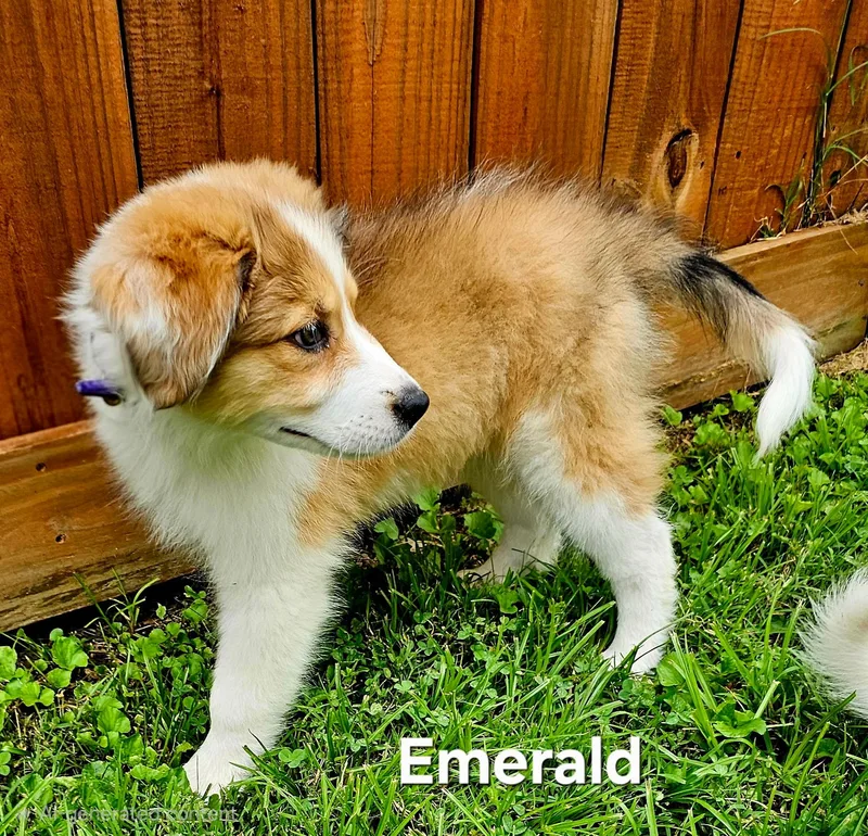 Emerald thumbnail 4