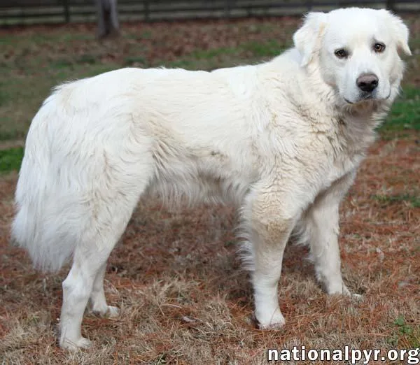 Wyatt In Tn  thumbnail 2