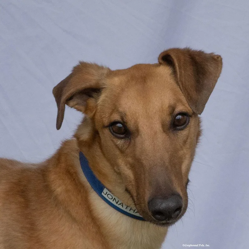 Jonathan thumbnail 2