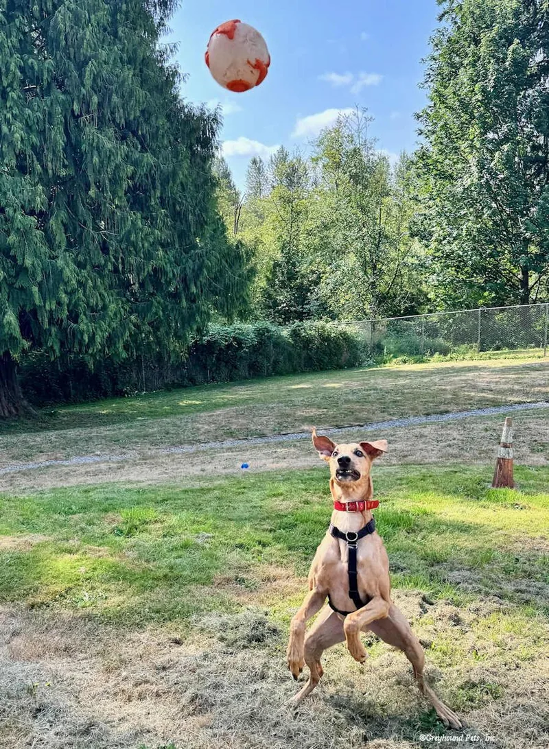 Jonathan thumbnail 3