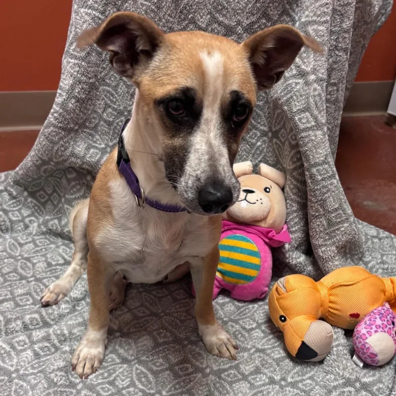 Charlotte thumbnail 4