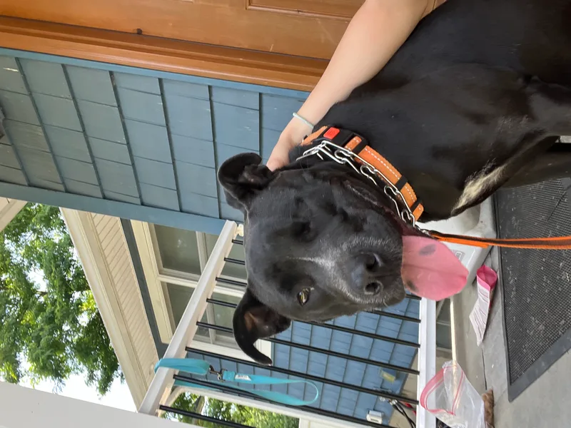 Storm  Long Island thumbnail 2