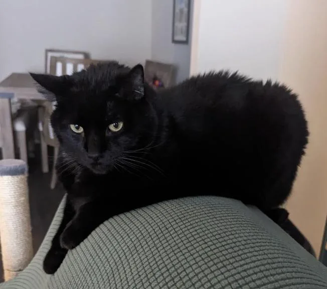 Fluffernutter thumbnail 3