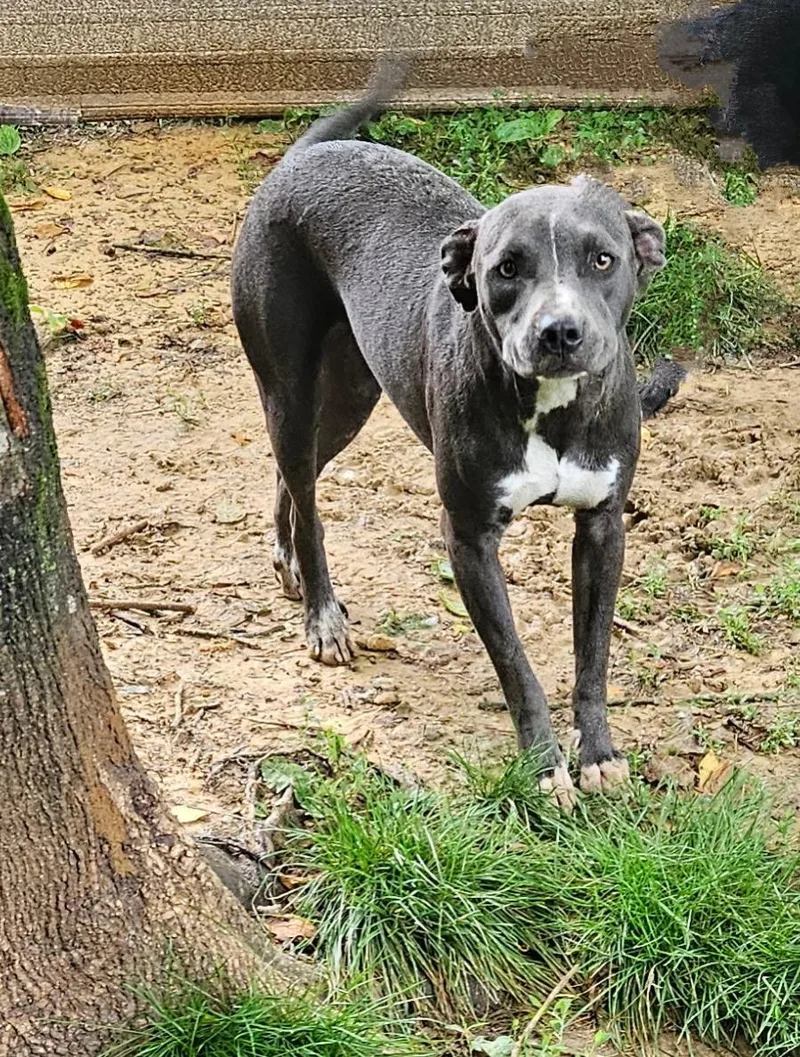 Charlotte thumbnail 4