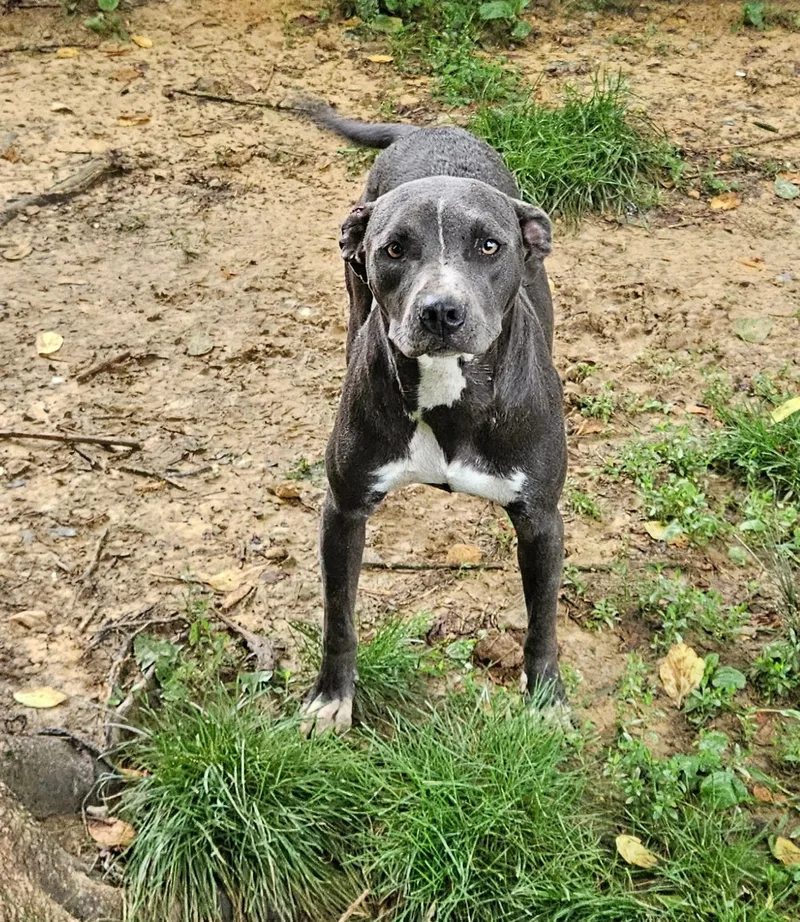 Charlotte thumbnail 5