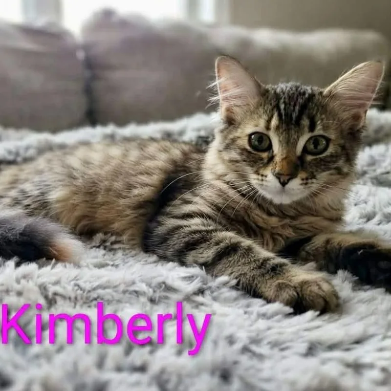 Kimberly thumbnail 2