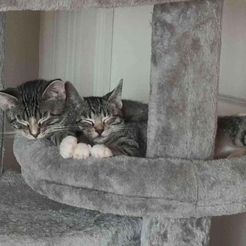 Parker & Blair thumbnail 4
