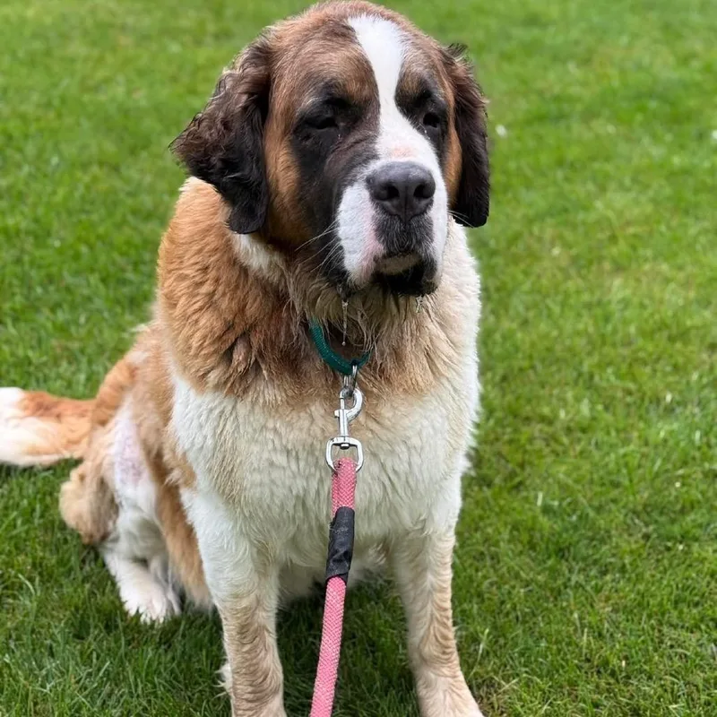 Grace Kelly thumbnail 5