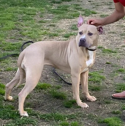 Sasha thumbnail 4