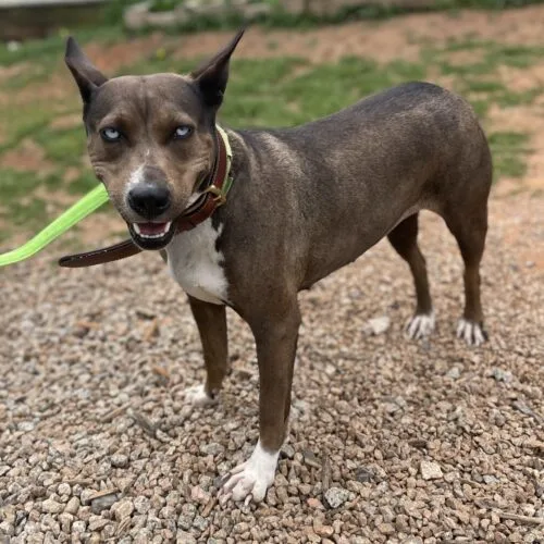 Moon thumbnail 2