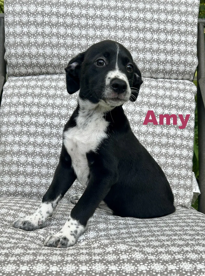 Amy thumbnail 2