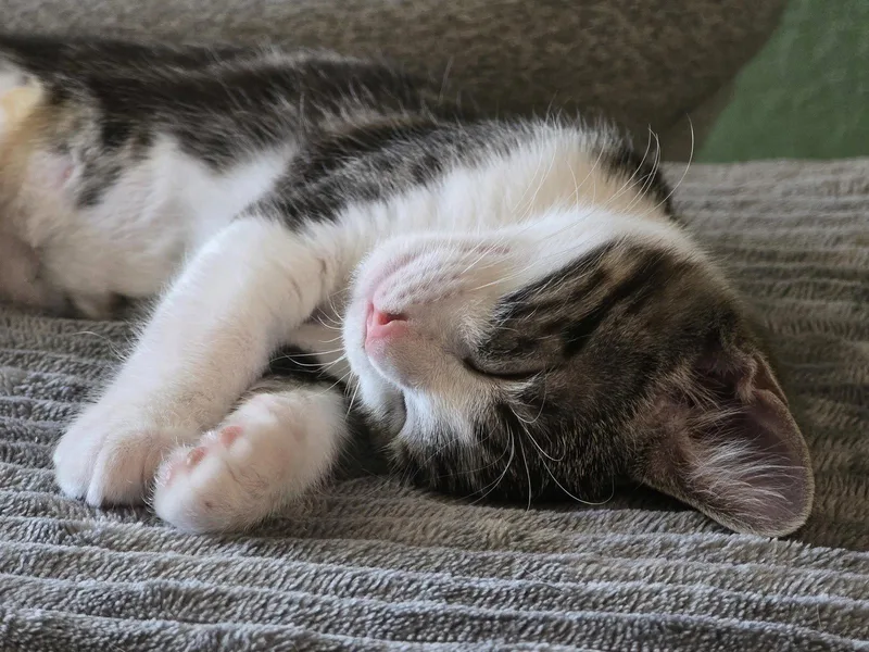 Margot thumbnail 3
