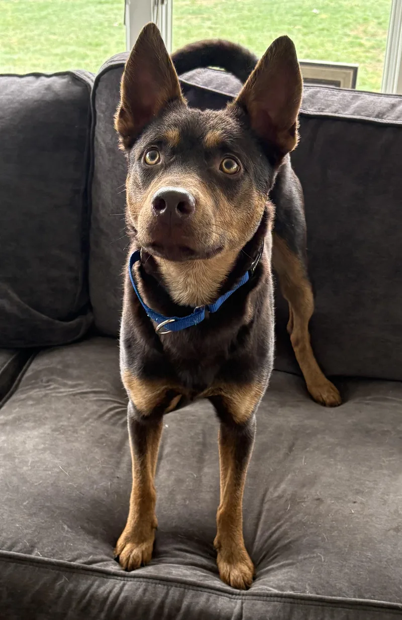 Ronan Murphy thumbnail 3