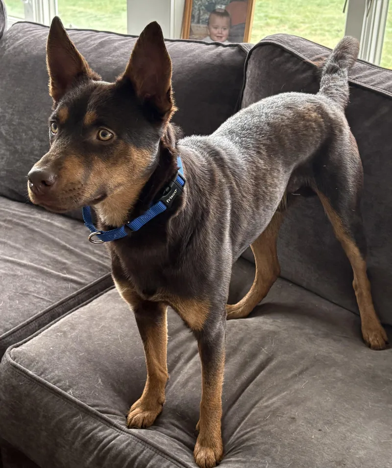 Ronan Murphy thumbnail 4